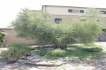 Agriturismo Casa degli Archi photo 2