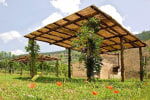 Borgo della Marmotta - Farm Home photo 5