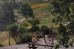 Poggio Al Vento photo 5