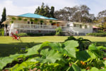 Aloha Junction Bed and Breakfast -Minutes away from Hawaii Volcanoes National Park photo 4