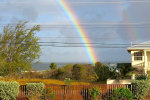 Gemini House Bed & Breakfast photo 5