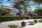 Tenuta Belvedere photo 4