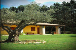 Agriturismo La Noce photo 5