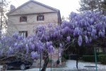 Casale La Fornace photo 4