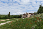 Ca' del Moro Wine Retreat photo 2