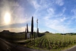 Villa Cristina photo 3