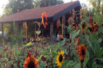 Agriturismo Cascina degli Ulivi photo 5