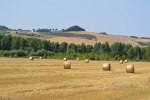 Agriturismo Le Spighe photo 3