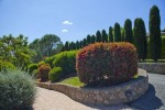 Le Poste del Pianone photo 5