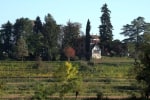 Casali del Picchio - Winery photo 3