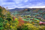 Agriturismo Bio I Rondinelli photo 4