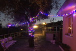 Residence Edy photo 4