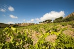 Feudo del Biviere photo 4