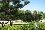 Tenuta Paifer photo 4