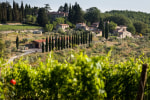 Querceto di Castellina photo 3