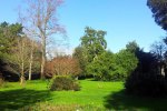 Villa La Dogana photo 3