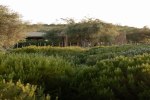 IUTA Glamping & Farm photo 2