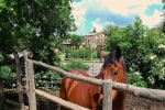 Agriturismo San Filippo photo 5