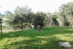 Agriturismo Norianino photo 4