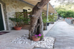 Affittacamere arabafenice photo 4