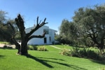 Villa Il Bacio del Sole photo 2