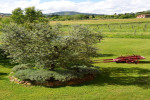 Al Podere di Rosa photo 2