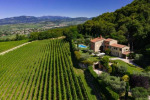 Villa Vitis photo 3