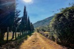 Podere Groppini photo 2
