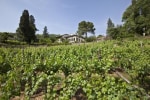 Fattoria Le Vegre photo 3