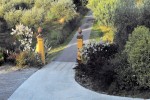 Il Campano photo 2