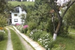 Pensiunea Iulia photo 4
