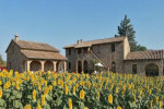 Casetta della Pina photo 5