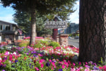 Stardust Lodge photo 4