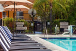 Clementine Hotel And Suites Anaheim photo 4
