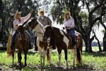 Westgate River Ranch Resort photo 4