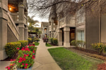 Sonesta Es Suites San Jose photo 3