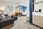 Springhill Suites By Marriott Dallas Mansfield photo 2