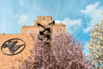 The Marcus Whitman Hotel photo 2