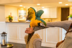 Coronado Beach Resort photo 4