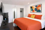 Mod Palm Desert photo 3