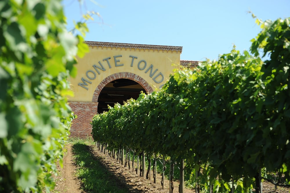 Monte Tondo photo 1