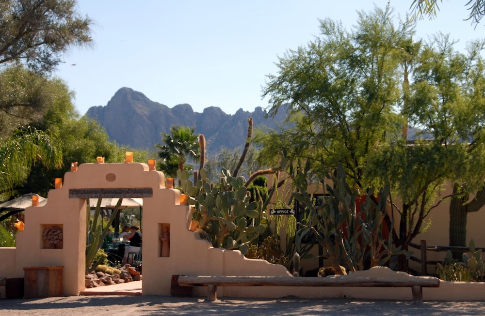 White Stallion Ranch photo 1