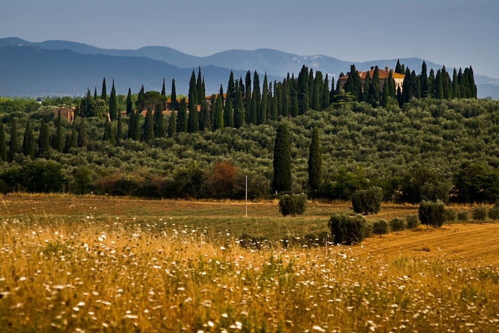 Tenuta di Poggio Cavallo photo 1