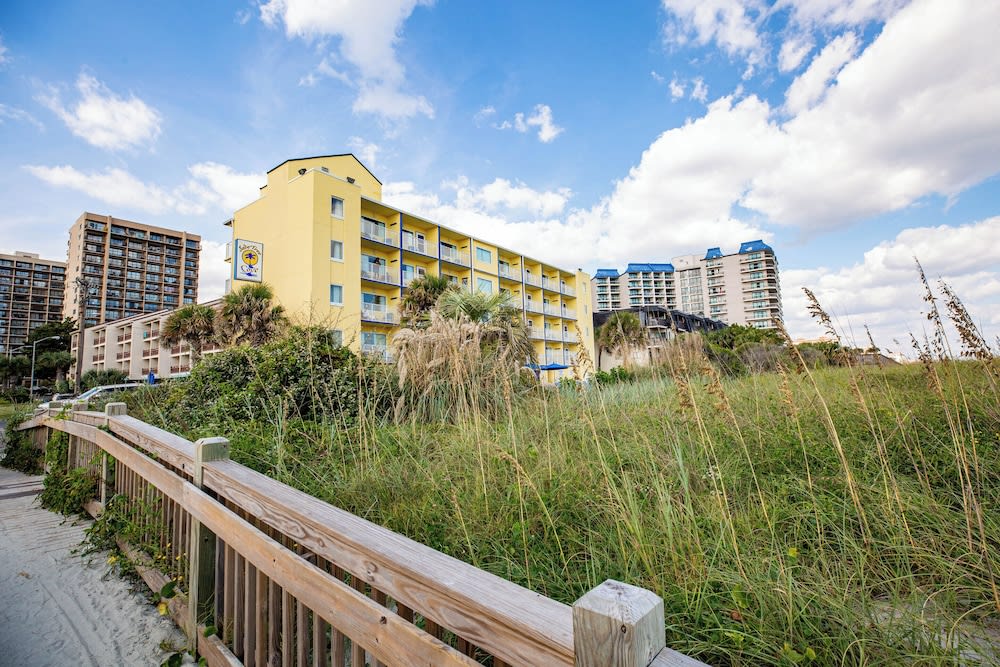 Jade Tree Cove photo 1