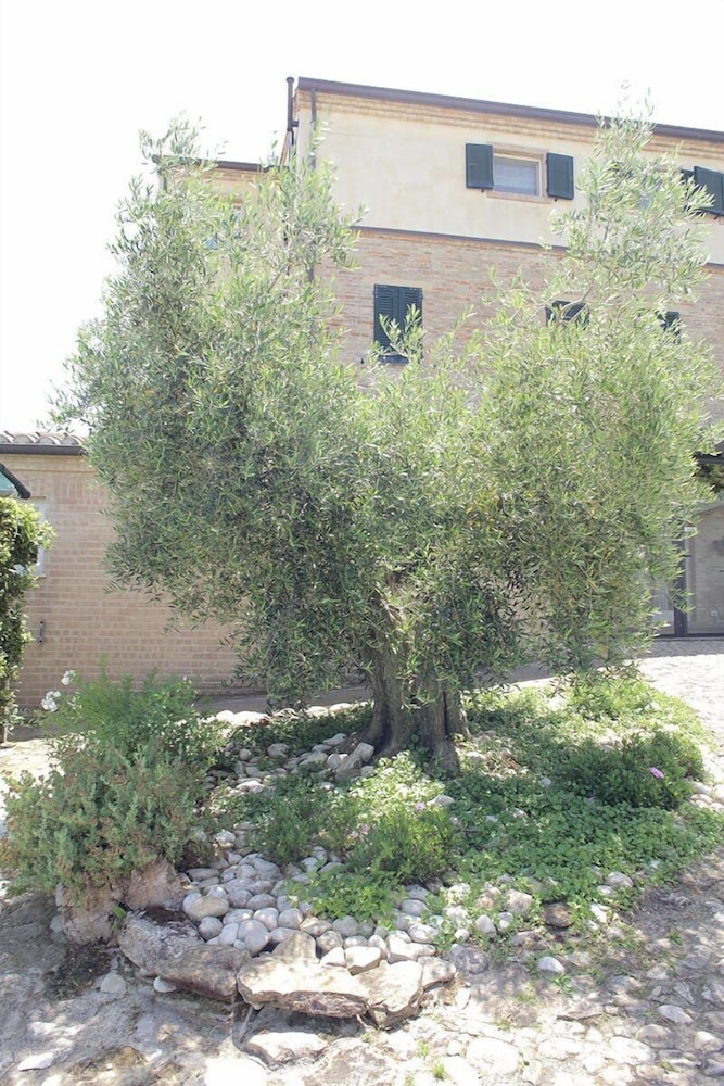Agriturismo Casa degli Archi photo 1