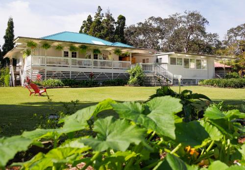Aloha Junction Bed and Breakfast -Minutes away from Hawaii Volcanoes National Park photo 1