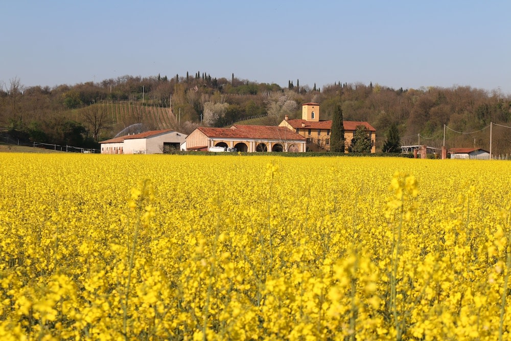 Agriturismo Tenuta Le Sorgive photo 1