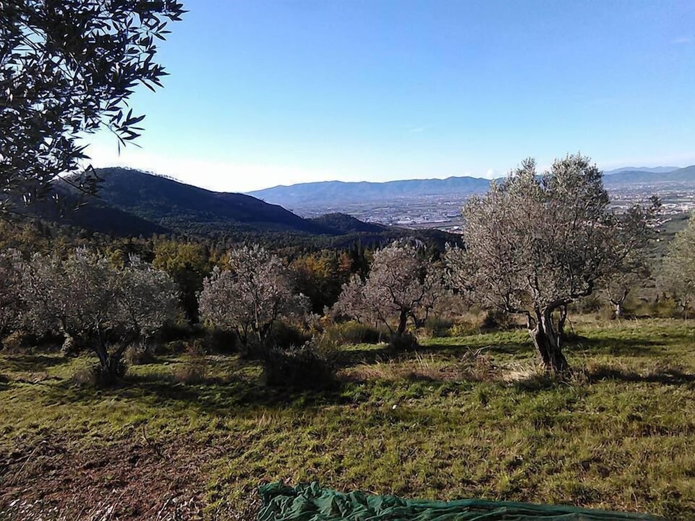 Villa Rucellai photo 1
