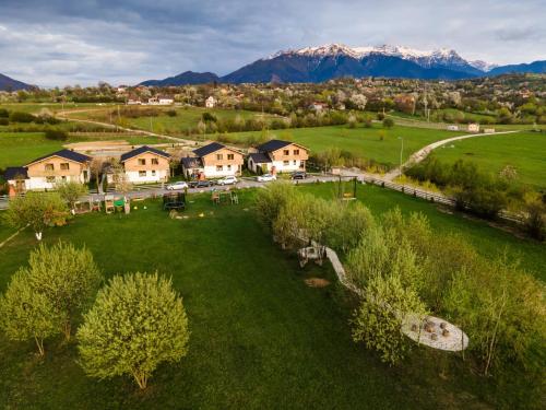 Green Resort Bran photo 1