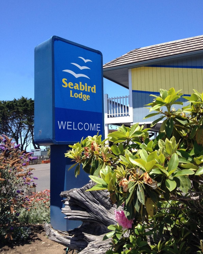 Seabird Lodge photo 1